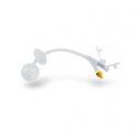 Replacement Gastrostomy Tube